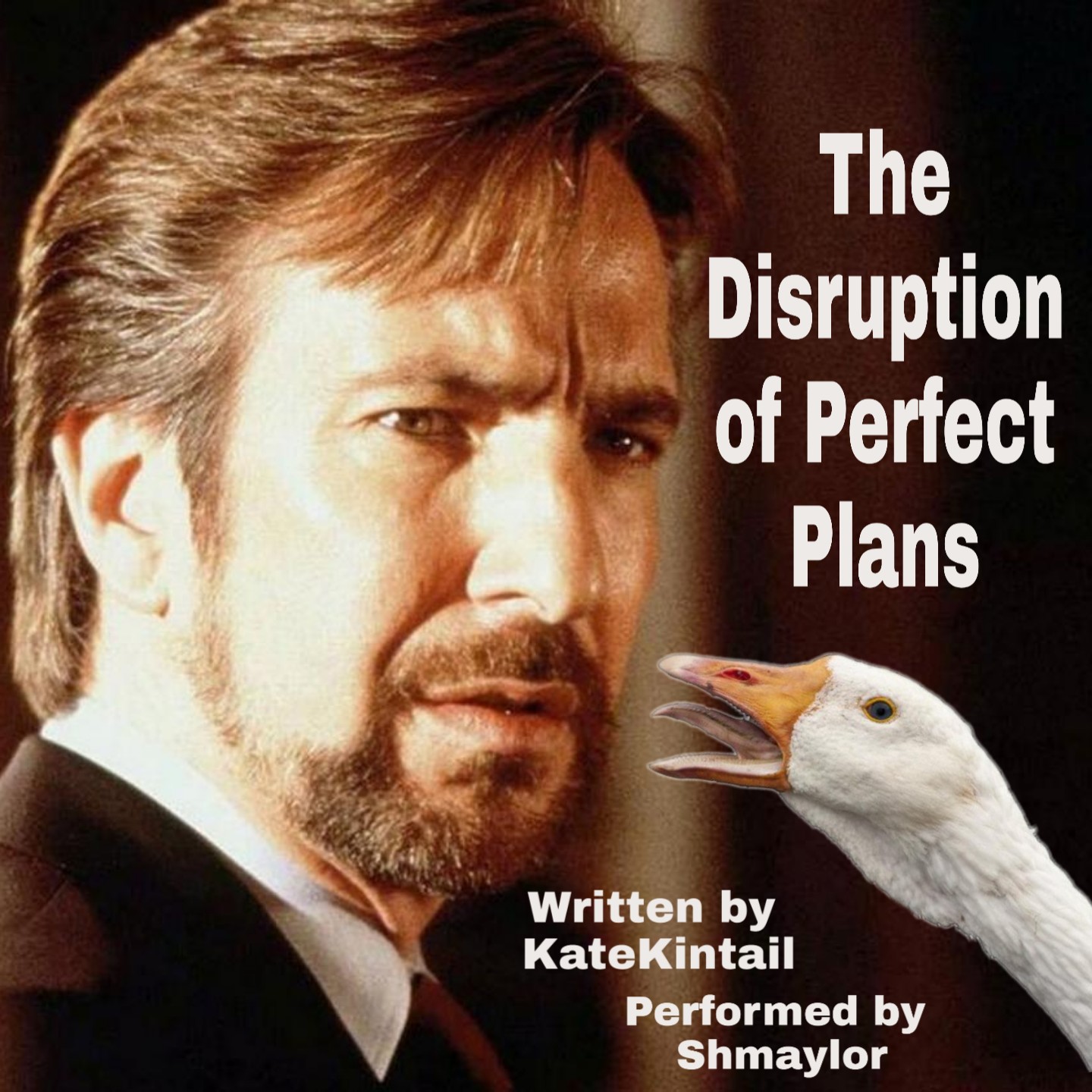 The Disruption of Perfect Plans Cover Art